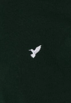 Pier One5 PACK - T-shirt - Bas - White/ark Green/blue -Macys Butik 19822f95d4c243b5a7cfa8d503e23581